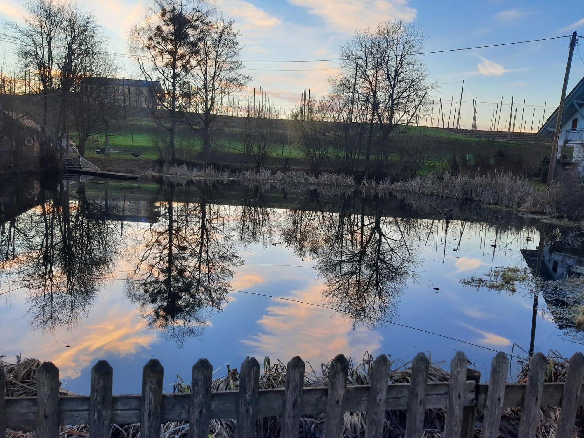 Am Dorfweiher Tettnang Dış mekan fotoğraf